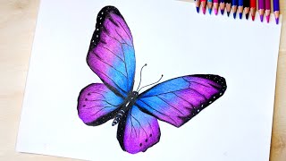 Drawing a Butterfly with Colored Pencils | Timelapse | رسم فراشة بالألوان الخشبية | تايم لابس
