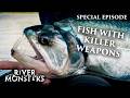 River Monsters Full Episode - Killer Weapons