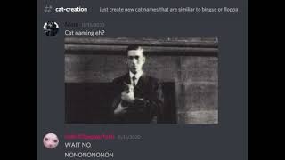 cat naming