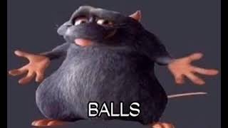 Rat Balls Meme