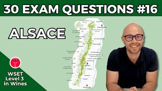 Alsace: 30 Exam Questions WSET Level 3 in Wines I Video #16