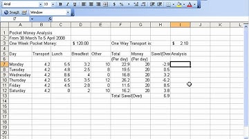 Microsoft Excel 2003 4-4 改变数字格式为百分比样式 (Change Percentage format)