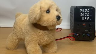 Toys under highvoltage - Back Flipping Dog #highvoltage #toy #voltage #puppy  #flip #dog #backflip