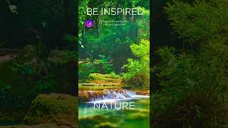 Cascading Calm: 432Hz Meditation with Rainforest Waterfall Sounds