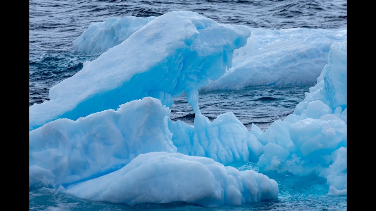 Antarktis und Falklandinseln 2024 - Fotoshow Teil 2