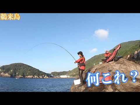 沖磯で磯釣り！初夏の磯でグレを狙う！後半は尾長グレ・・？
