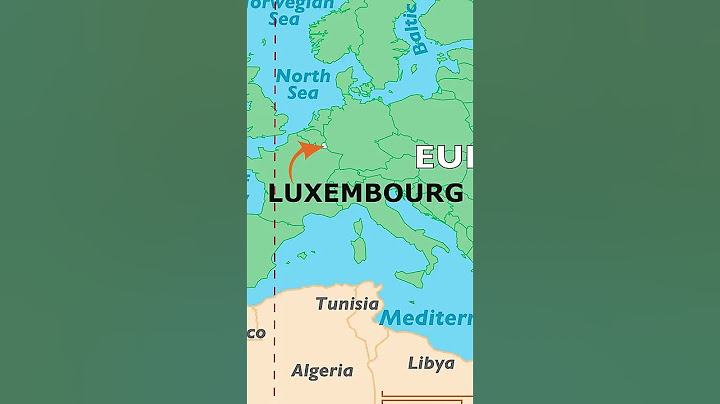 I Built A DECOY To Prank Geoguessr Players