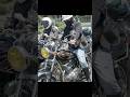 徳島県のカッコいい旧車乗り❗ GT380、GS400、CBX400F俺たち四国の旧車乗り❗ #norikh250 #bike #バイク
