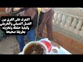 التعرف على مميزات عسل النحل الخريفي العسل الاسود طرق تخزينه وحفظه   