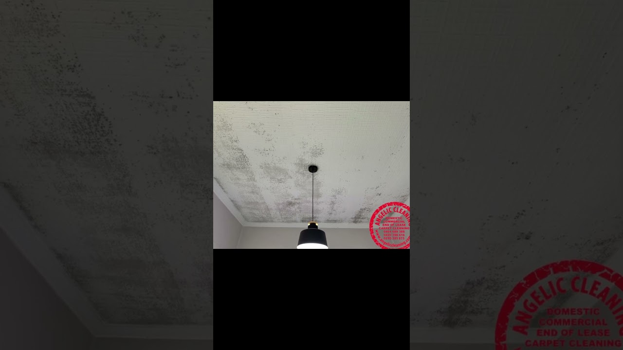How to remove mould from bedroom ceiling ?
