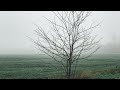 Capture de la vidéo 이상은(Lee Sang Eun) - 새(A Bird) Kor-Eng Sub