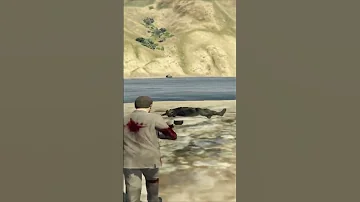 Police VS AK 47 In GTA 5 