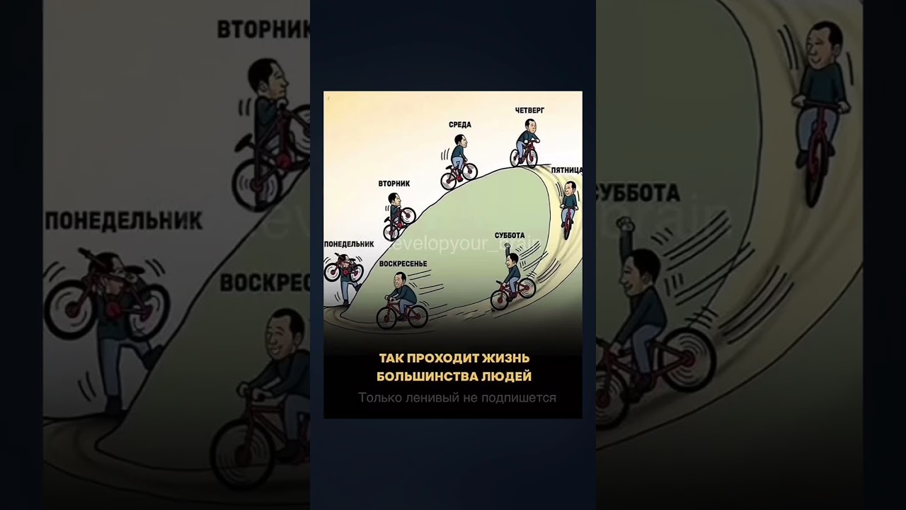 #мотивациякаждыйден