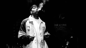 Wu-Tang Clan - Back in the Game (Phoniks Remix) INSTRUMENTAL