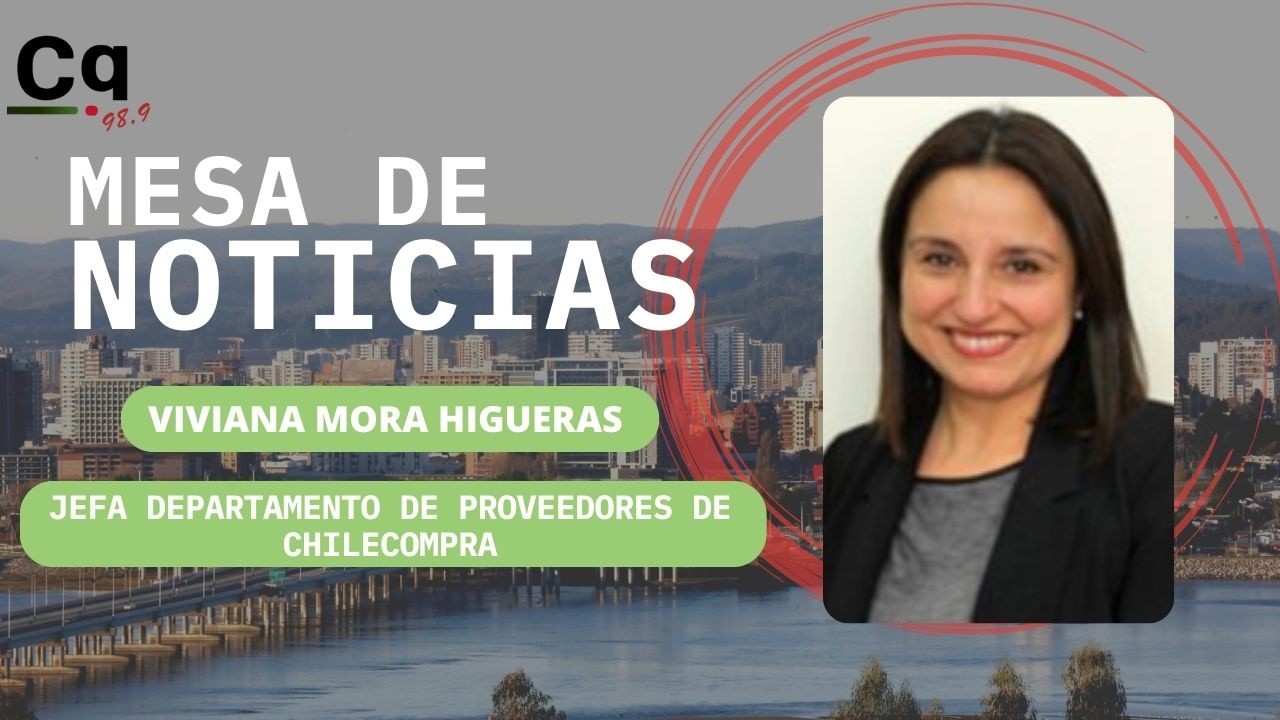 maxresdefault Viviana Mora Higuieras Jefa del Departamento de Proveedores de ChileCompra