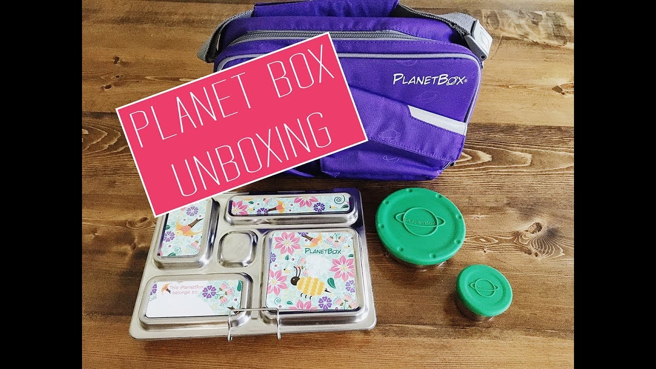 Planet Box Review Rover Lunch Box - Amy Rae Co
