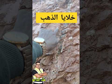 مهم جدا كيف تكتشف خلايات الذهب