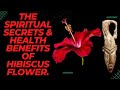 The many spiritual secrets of hibiscus flower and its health benefits in african spirituality