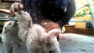 Capture 20131008 2