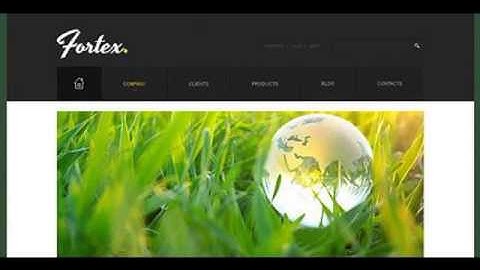 Preview White _ Black Investment Company Drupal Theme by S