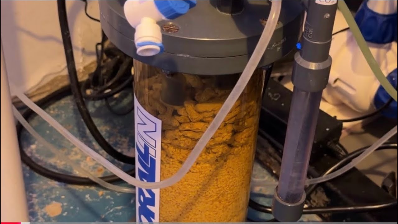 Sulfur Denitrator Part 2 (latest update)