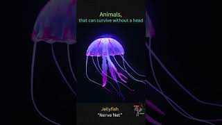 Animals That Can Survive Without Head 🔬