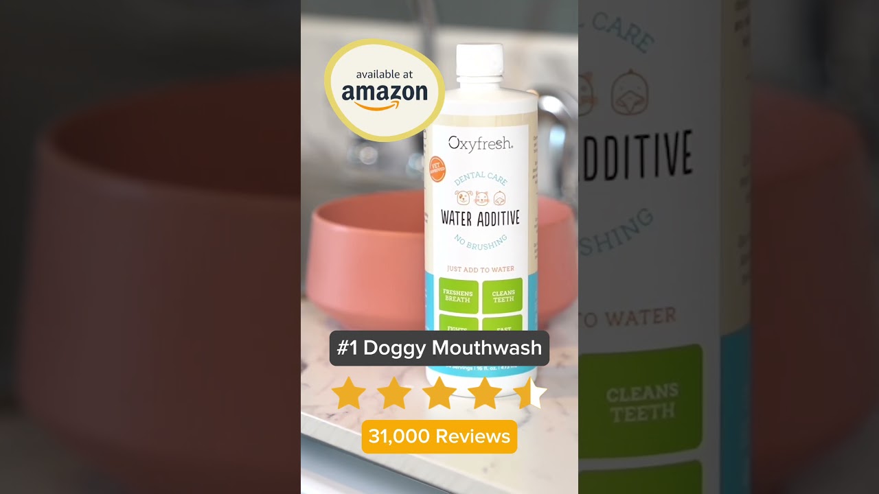 What Is a Dog Mouthwash? 3 Facts You Should Know.