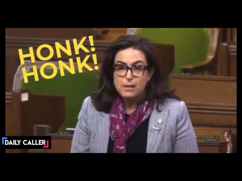 Liberal Canadian MP