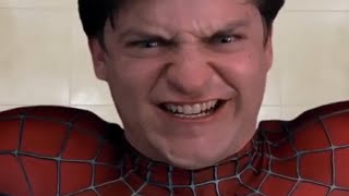 Spiderman goes to the toilet