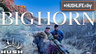 BIG HORN SHEEP WITH A BOW | HUSHLIFE VLOG | S2EP43