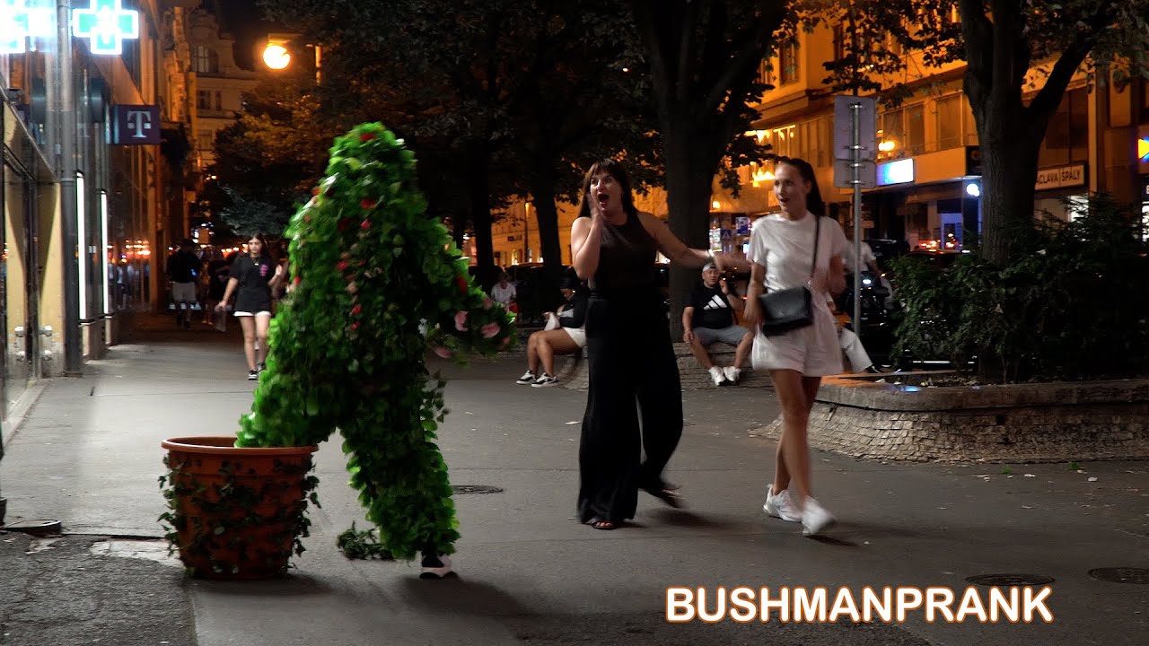 Scary Bushman Prank in Public 😱 | People Freak Out!