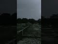 #shortvideo