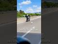 Une petite chienne secourue sur l’autoroute
