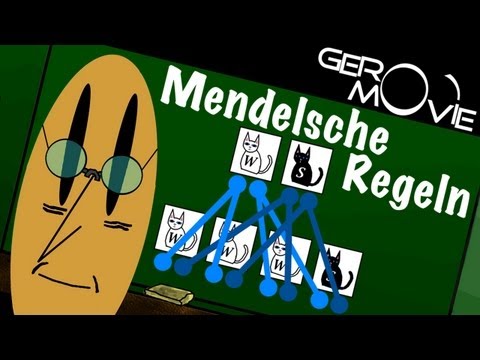 Mendelsche Regeln Biologie GeroMovie