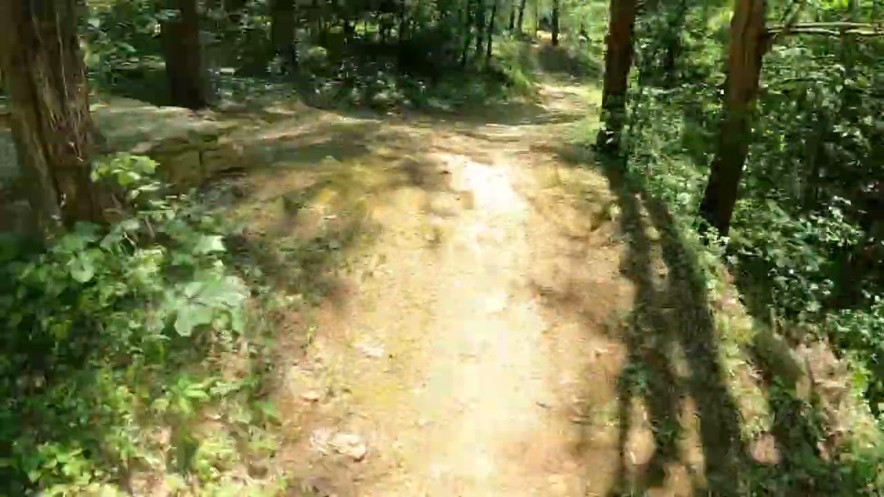 Downhill Mountain bike session at turkey run park, Kentucky.