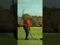 Tiger Woods' swing path appreciation post. #TaylorMade #golf #shorts