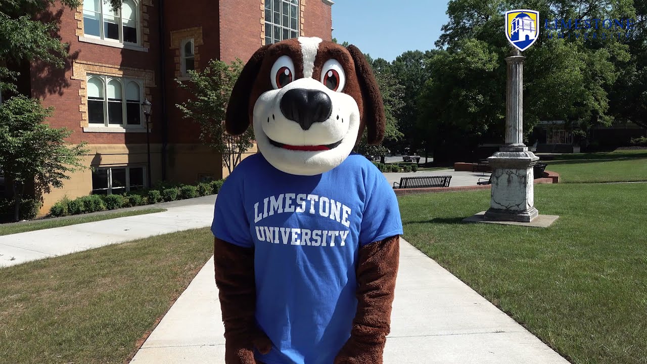 Limestone University Campus Tour YouTube