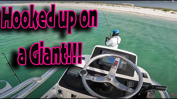 Beach Fishing Secrets: Catch More Redfish with the Right Bait (Special Guest!)