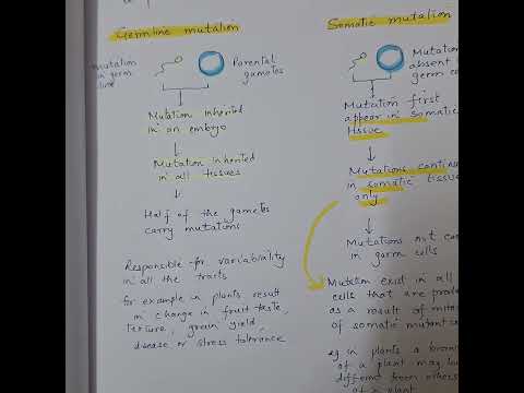 What Type Of Mutation Occurs Only In Reproductive Cells