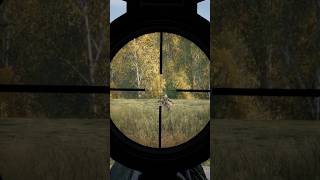 The Scope Kept Finding More Targets