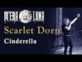 Scarlet Dorn - Cinderella | M'era Luna 2019 LIVE