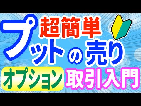 日経225先物オプションのプットオプション売りとは
