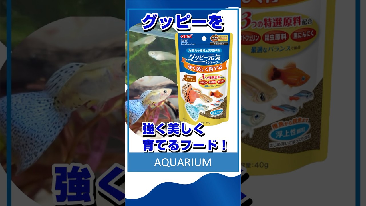 グッピー元気 パワーフード40g | ジェックス株式会社