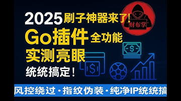 2025刷子神器来了！Go插件全功能实测亮眼｜风控绕过、指纹伪装、纯净IP统统搞定！