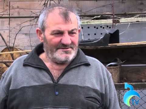 ბორჯომში, ზაფხულში სტიქიის შედეგად დაზარალებულ ოჯახებს გამგეობა ეხმარება