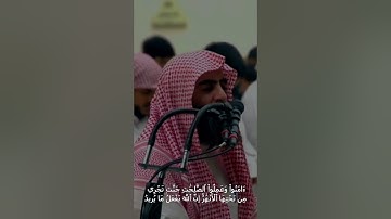 سورة الحج بصوت يلامس الأرواح