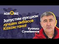 Содержание и откорм Акбасов. Как улучшить генетику Казахской Белоголовой породы? | Шалабай |Eldala