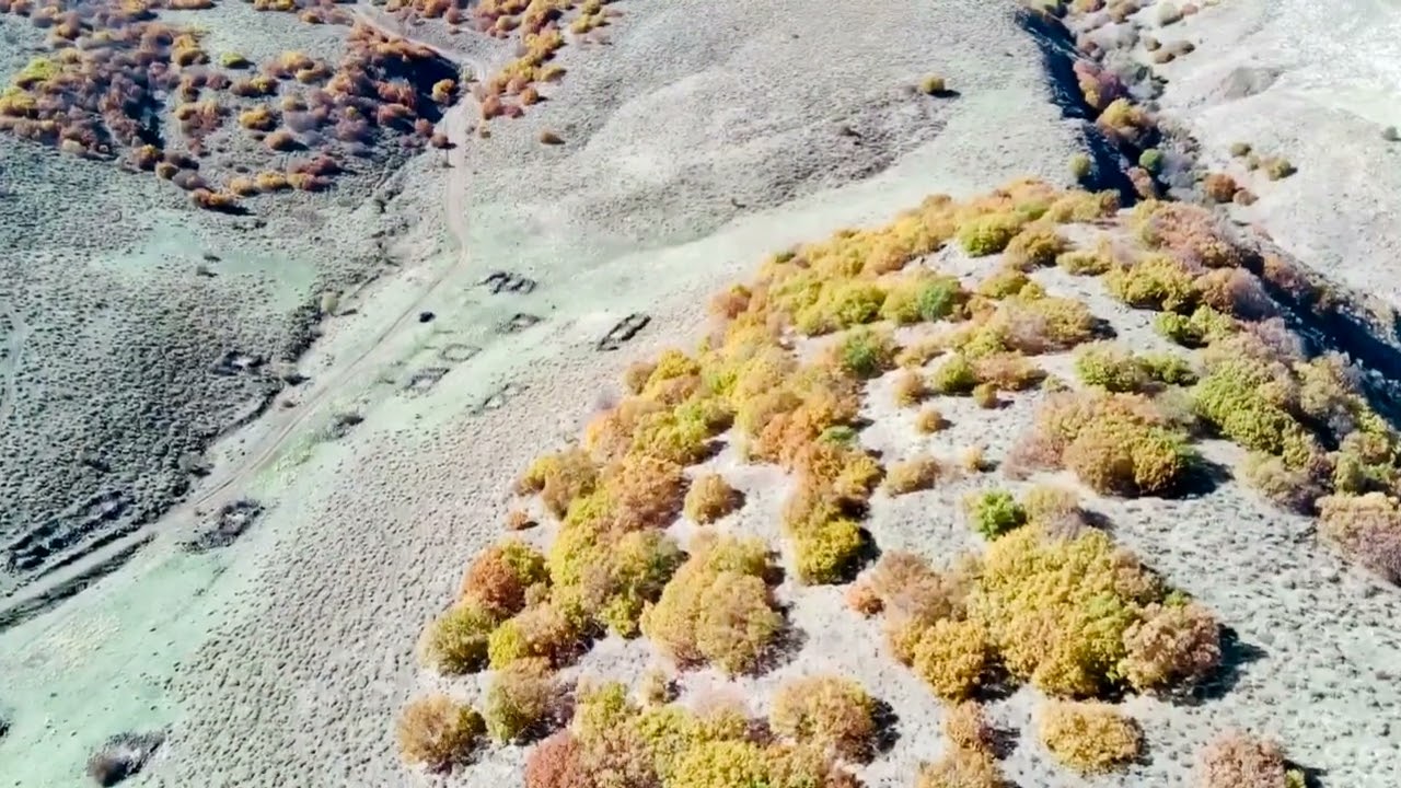 Sox (Aricilar Köyü) Bingöl