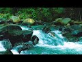 Calming Forest Ambience - River Flowing - for Sleep &amp; Meditation