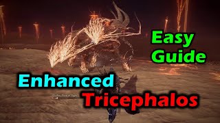 Enhanced Gladius (Tricephalos)  - Easy Guide - Elden Ring Nightreign